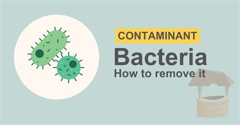 removing bacteria from well water